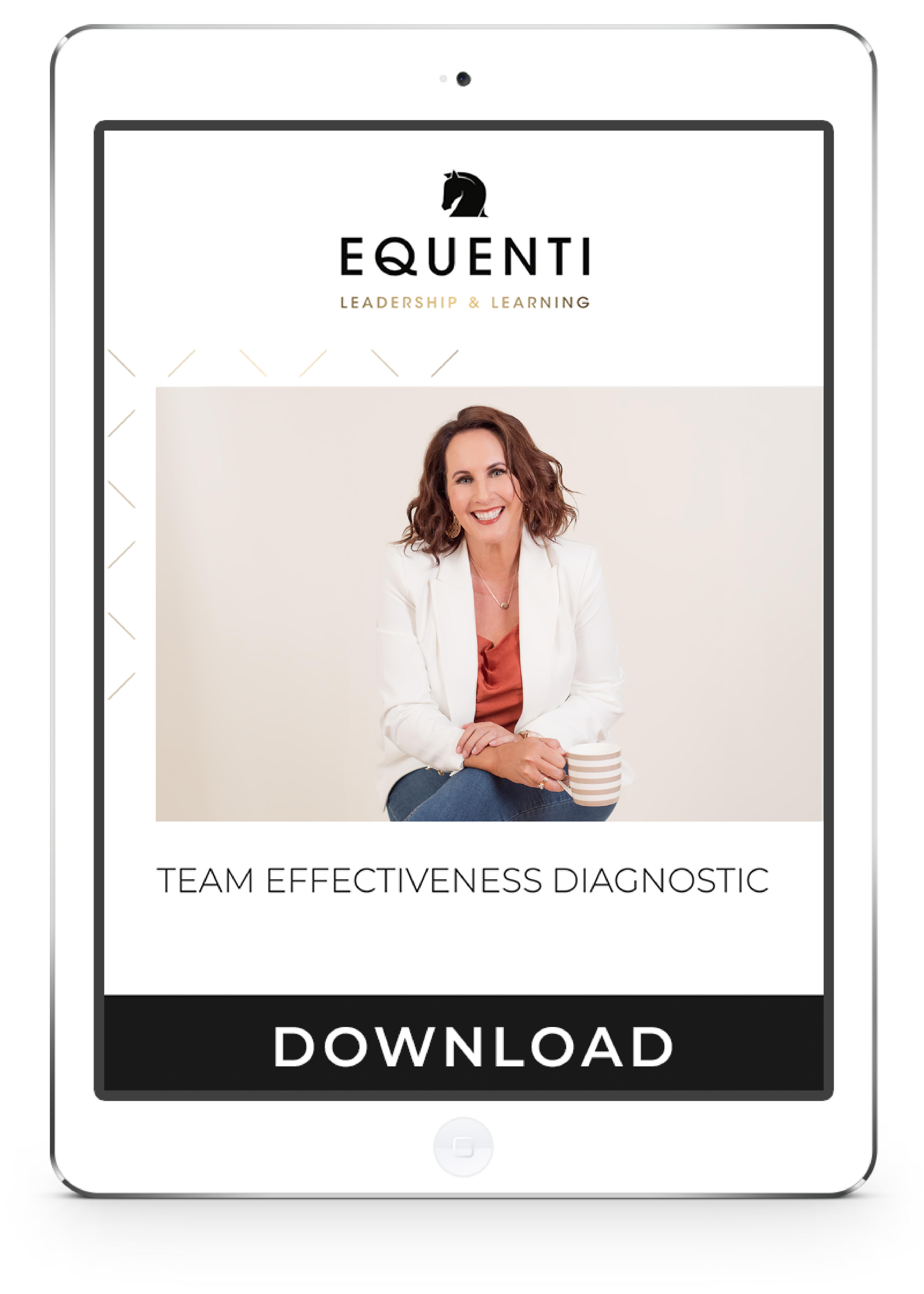 Team Effectiveness Diagnostic